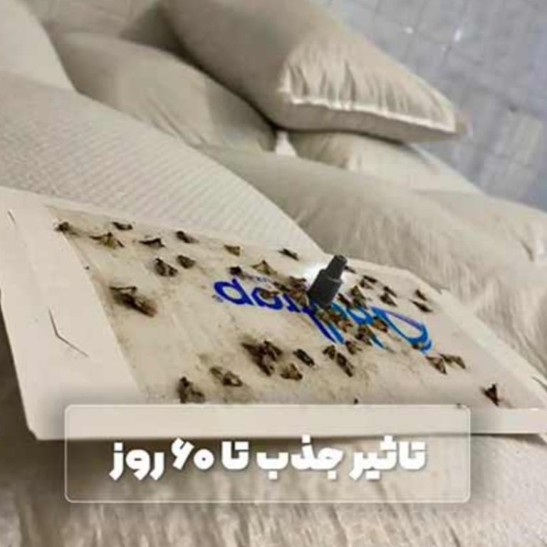 فرومون جذب شپشه هندی با تله چسبی پروانه (guve feromunu) - تصویر 2