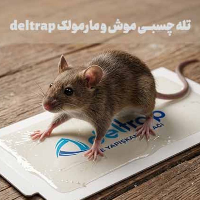 تله چسبی موش و مارمولک - تصویر 3